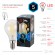 Б0019007 Лампочка светодиодная ЭРА F-LED P45-5W-840-E14 Е14 / Е14 5Вт филамент шар нейтральный белый свет
