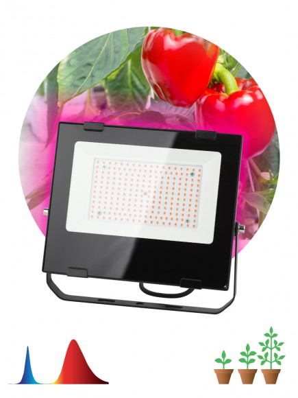 Б0046369 Фитопрожектор для растений светодиодный ЭРА FITO-100W-RB-LED для цветения и плодоношения красно-синего спектра 100 Вт