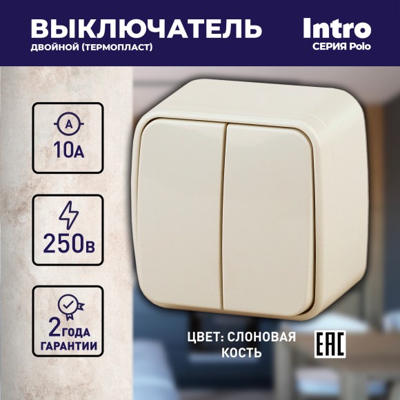 Б0036121 3-104-02 Intro Выключатель двойной, 10А-250В, IP20, ОУ, Polo, сл.кость (18/360/4320)