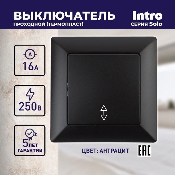 Б0043281 4-103-05 Intro Переключатель, 10А-250В, СУ, Solo, антрацит (10/200/3600)