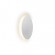 Настенный светодиодный светильник iLedex Lunar ZD8102-12W WH