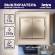 Б0030043 1-104-04 Intro Выключатель двойной, 10А-250В, IP20, СУ, Plano, шампань (10/200/2400)