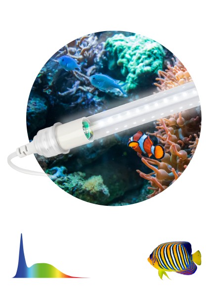 FITO-15W-Ra90-Т8-AQUA Фитолампа для растений светодиодная ЭРА FITO-15W-Ra90-Т8-AQUA для аквариума, 15 Вт, полный спектр