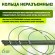 GFS-3-45 Поддержка для цветов GREEN APPLE GFS-3-45 3 кольца 45 см
