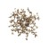 Бра Loft IT Spark 10101W Gold
