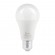 Б0049637 Лампочка светодиодная ЭРА RED LINE LED A65-20W-840-E27 R E27 / Е27 20 Вт груша нейтральный белый свет