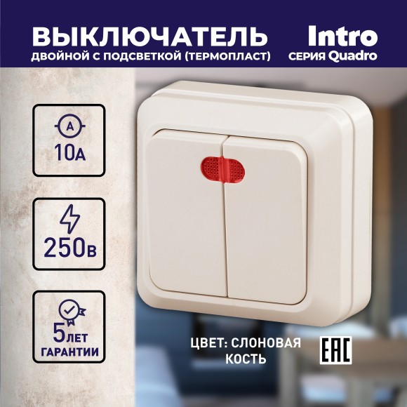 Б0053768 Выключатель Intro Quadro 2-105-02 двухклавишный с подсветкой, 10А-250В, IP20, ОУ, слоновая кость