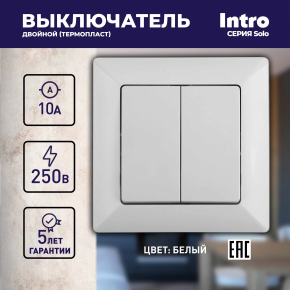 Б0053585 Выключатель Intro Solo 4-104-01 двухклавишный 10А-250В, IP20, СУ, белый