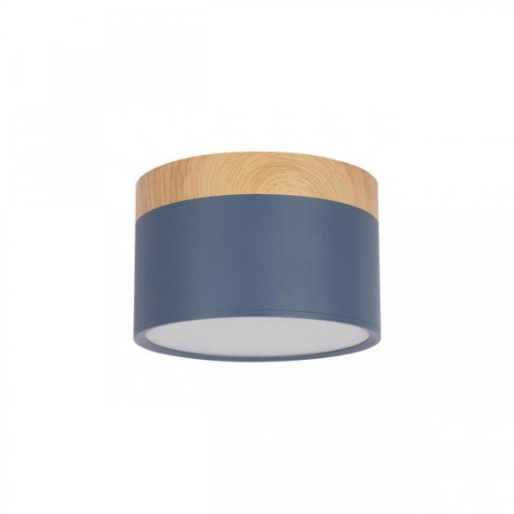 Накладной светодиодный светильник Loft IT Grape 10162 Blue