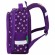 Ранец BRAUBERG KIDS STANDARD, 2 отделения, "Playing kittens", 36х28х14 см, 272038