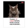 Тетрадь А5 48 л., HATBER скоба, клетка, обложка картон, "Котоюмор" (микс в спайке), 079790, 48Т5В1