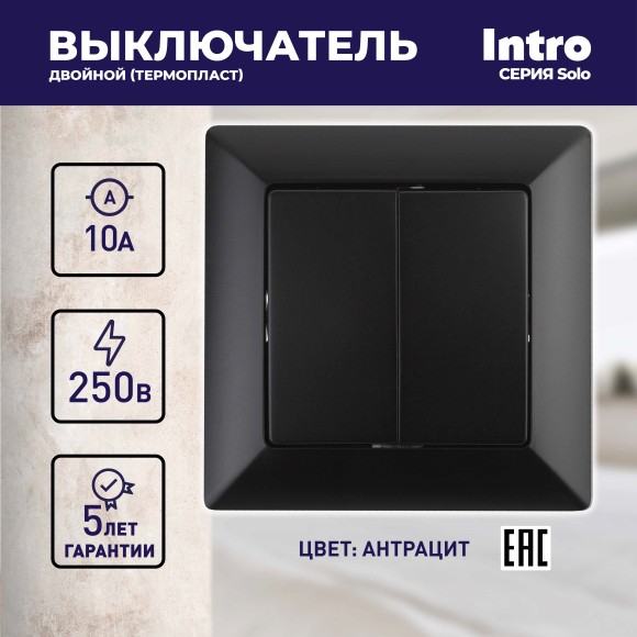 Б0053589 Выключатель Intro Solo 4-104-05 двухклавишный 10А-250В, IP20, СУ, антрацит