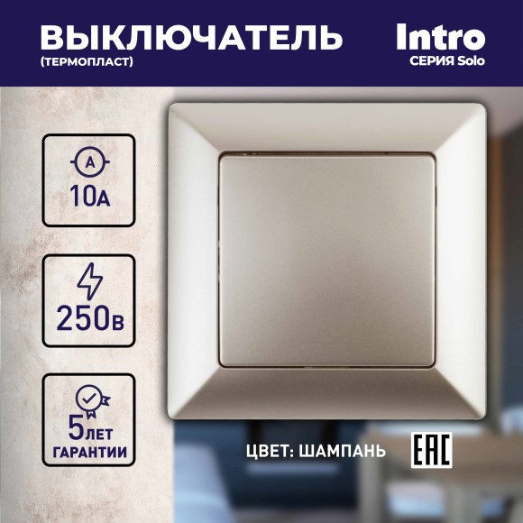 Б0053546 Выключатель Intro Solo 4-101-04 одноклавишный 10А-250В, IP20, СУ, шампань