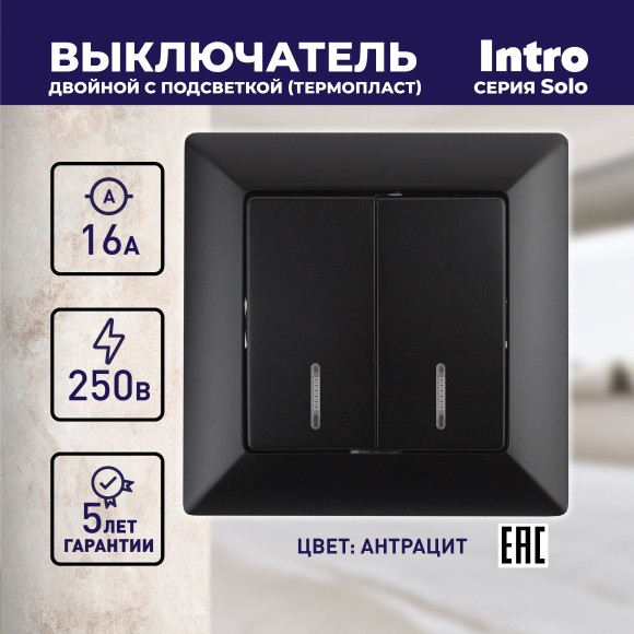 Б0043295 4-105-05 Intro Выключатель двойной с подсветкой, 10А-250В, СУ, Solo, антрацит (10/200/2400)