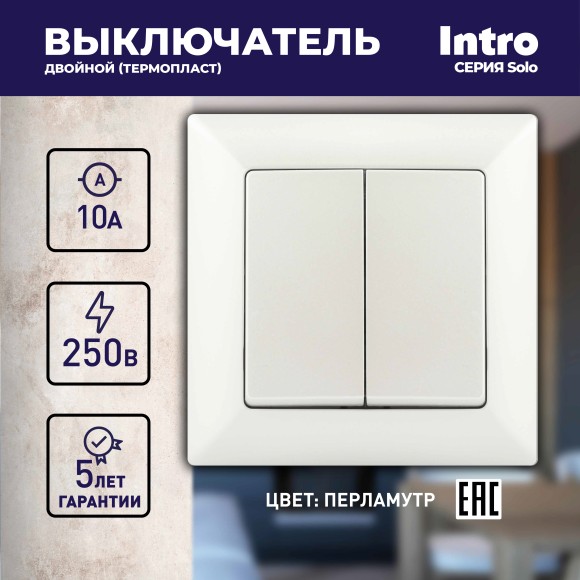 Б0053590 Выключатель Intro Solo 4-104-06 двухклавишный 10А-250В, IP20, СУ, перламутр