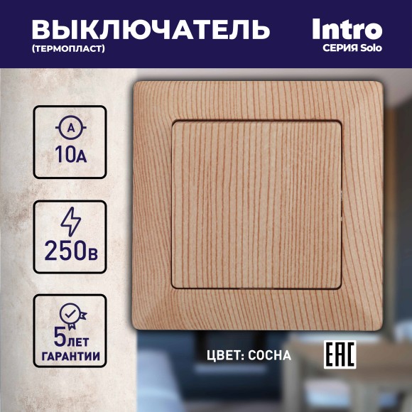 Б0053555 Выключатель Intro Solo 4-101-11 одноклавишный 10А-250В, IP20, СУ, сосна