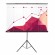 Экран Cactus Triscreen CS-PST-180x180, 180x180см, 1:1, напольный, черный