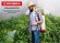 GRINDA Handy Spray, 16 л, на колёсах, с широкой горловиной, опрыскиватель (8-425163)