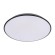 Потолочный светодиодный светильник Loft IT Brim 10226 Black