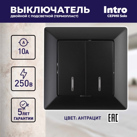 Б0053597 Выключатель Intro Solo 4-105-05 двухклавишный с подсветкой, 10А-250В, IP20, СУ, Solo, антрацит