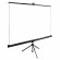 Экран Cactus TriExpert CS-PSTE-200x200-BK, 200x200см, 1:1, напольный, черный