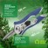 GAYW06-078 GAYW06-078 GREEN APPLE Секатор для цветов и комнатных растений (6/60/1800)