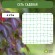 GFPN12-45 GFPN12-45 GREEN APPLE Сеть садовая 4*5м (24/192)
