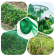 GBN10-45 GBN10-45 GREEN APPLE Сеть садовая защита от птиц 4*5м (50/600)