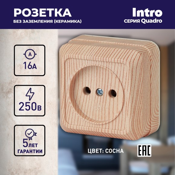 Б0027648 2-201-11 Intro Розетка 2P, 16А-250В, IP20, ОУ, Quadro, сосна (10/200/3600)