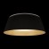 Потолочный светодиодный светильник Loft IT Evans 10224 Black
