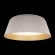 Потолочный светодиодный светильник Loft IT Evans 10224 White
