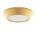 Потолочный светодиодный светильник Lightstar Urbano mini 214732