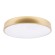 Потолочный светодиодный светильник Loft IT Flims 10228/A