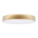 Потолочный светодиодный светильник Loft IT Flims 10228/A