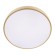 Потолочный светодиодный светильник Loft IT Flims 10228/A