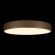 Потолочный светодиодный светильник Loft IT Flims 10228/A