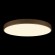 Потолочный светодиодный светильник Loft IT Flims 10228/B