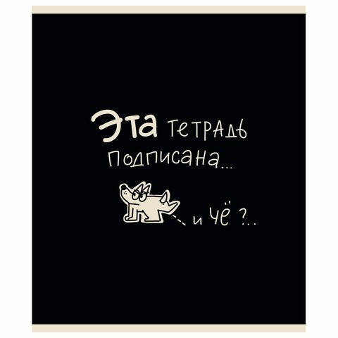Тетрадь А5 48л. ПЗБМ скоба, клетка, матовая ламинация, брайль, Тетрадь подписана (микс в ПУ), 23447