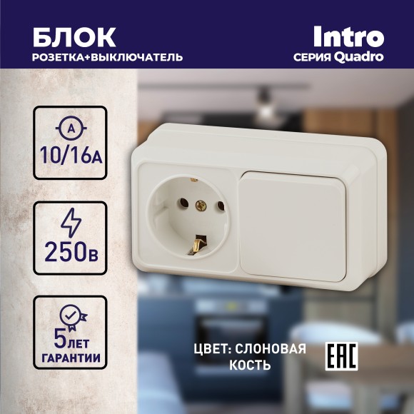 Б0053866 Блок розетка с выключателем Intro Quadro 2-701-02 горизонтальный 10(16)А-250В, IP20, ОУ, слоновая кость