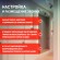 Б0018091 Звонок дверной ЭРА BIONIC Champagne беспроводной шампань 6 мелодий