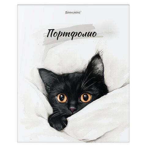 Папка-портфолио универсальная, 4 кольца, 20 файлов 10 вкладышей, 7БЦ матовая, BRAUBERG, 117557