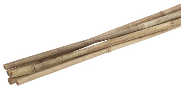 GBS-10-75 GBS-10-75 GREEN APPLE Поддержка бамбуковая 75см o 10мм набор 5шт (20/720)