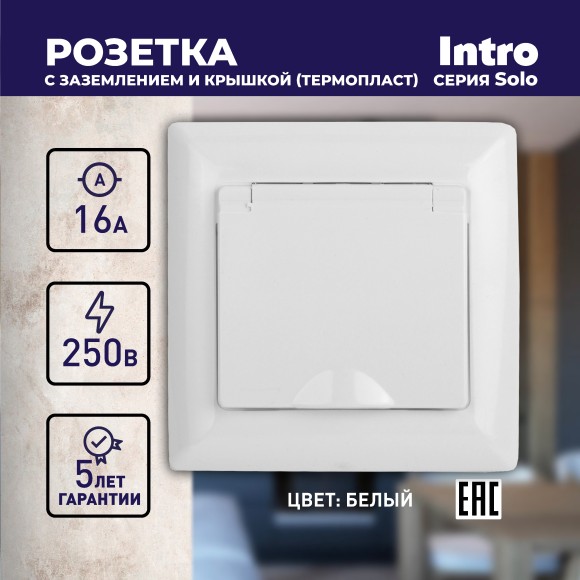 Б0043319 4-203-01 Intro Розетка 2P+E Schuko с крышкой, 16А-250В, СУ, Solo, белый (10/100/2500)