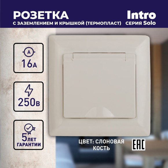 Б0043320 4-203-02 Intro Розетка 2P+E Schuko с крышкой, 16А-250В, СУ, Solo, сл.кость (10/100/2400)