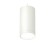 Комплект подвесного светильника Ambrella light Techno Spot XP (A2331, C8161, N8112) XP8161011