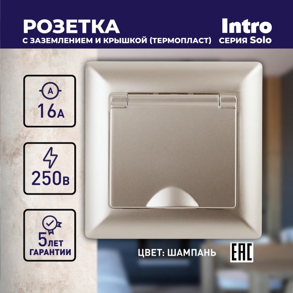 Б0043322 4-203-04 Intro Розетка 2P+E Schuko с крышкой, 16А-250В, СУ, Solo, шампань (10/100/2400)