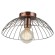 Потолочный светильник Lussole Loft Brooks GRLSP-8249