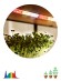 FITO-Strip Light-Rа90-3m Светодиодная лента для растений ЭРА FITO-Strip Light-Rа90-3m полного спектра 3м IP65, с адаптером 12V в комплекте
