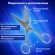 Ножницы цельнометаллические BRAUBERG "Professional", 150 мм, классической формы, 237101