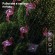 Б0038508 ERADG012-07 ЭРА Садовая гирлянда 10 подсвечиваемых  светодиодами фламинго.Общая длина от солнечной п